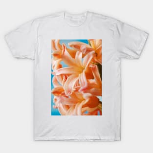 Hyacinthus orientalis  &#39;Gipsy Queen&#39;  Hyacinth T-Shirt